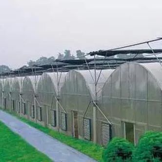 2000.000kg Peso bruto del paquete Sistema hidropónico de panela única para invernadero de doble arco
