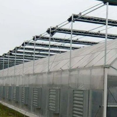 2000.000kg Peso bruto del paquete Sistema hidropónico de panela única para invernadero de doble arco