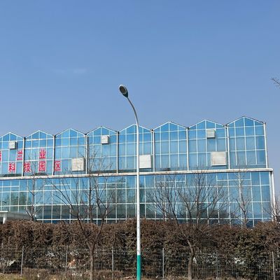 JX-A0018 Invernadero de vidrio para el cultivo de tomate 30 días devolución reembolsos duradero fácil