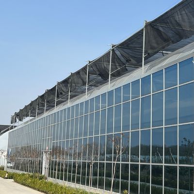 JX-A0018 Invernadero de vidrio para el cultivo de tomate 30 días devolución reembolsos duradero fácil