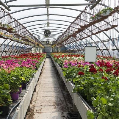 Sistema hidropónico de invernadero de película térmica temporal para la plantación de vegetales y flores