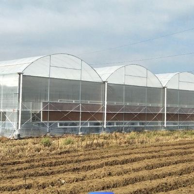 Sistema hidropónico de invernadero de película térmica temporal para la plantación de vegetales y flores