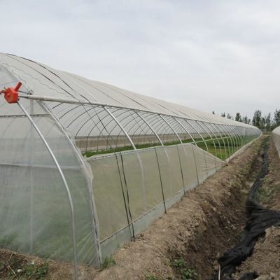 Sistema hidropónico de invernadero de película térmica temporal para la plantación de vegetales y flores