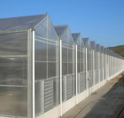 Invernadero de película de doble arco para el cultivo de pepinos