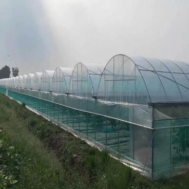 Sistema hidropónico antigoteo con niebla adecuado para el invernado de aves de corral y ganado