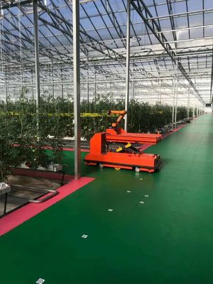 Instalación de plantación controlada por Juxiang y solución de plantación asequible