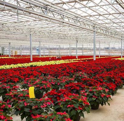 Método de cultivo hidropónico PC Hoja de jardín Flor de luz solar Invernadero para Canadá Área