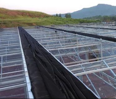 Sistema de prevención de niebla de retorno de 30 días para la producción de flores en invernaderos de techo arqueado