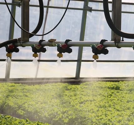 Sistema de prevención de niebla de retorno de 30 días para la producción de flores en invernaderos de techo arqueado