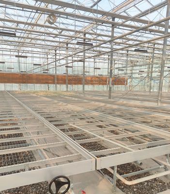Hidroponía invernadero de control de humedad estromal con techo arqueado y diseño multi-espacio