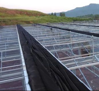 Hidroponía invernadero de control de humedad estromal con techo arqueado y diseño multi-espacio