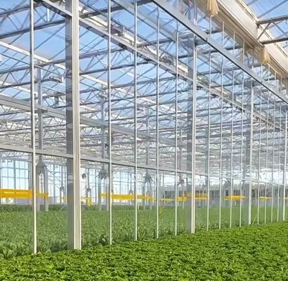 Hidroponía invernadero de control de humedad estromal con techo arqueado y diseño multi-espacio