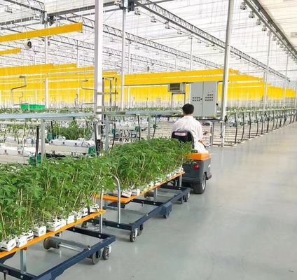 Invernadero de película de doble capa de Juxiang para la producción de flores