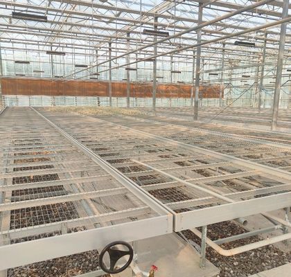 Invernadero de película de doble capa de Juxiang para la producción de flores
