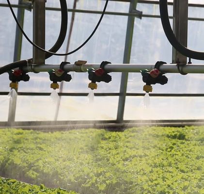 Invernadero de hidroponía de doble arco para flores y tomates con soplador de aire caliente/calentador de agua caliente