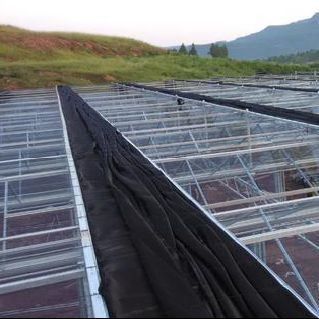 Invernadero de hidroponía de doble arco para flores y tomates con soplador de aire caliente/calentador de agua caliente