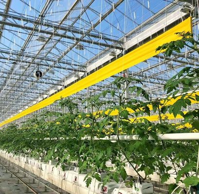 Invernadero de hidroponía de doble arco para flores y tomates con soplador de aire caliente/calentador de agua caliente