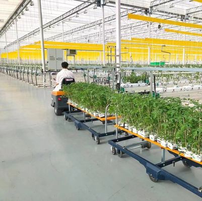 Invernadero de hidroponía de doble arco para flores y tomates con soplador de aire caliente/calentador de agua caliente