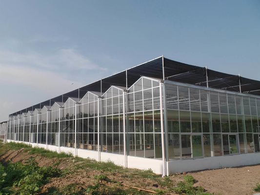 Instalación hidropónica de cultivo de semillas con sombra en interiores con capacidad y cultivo a gran escala