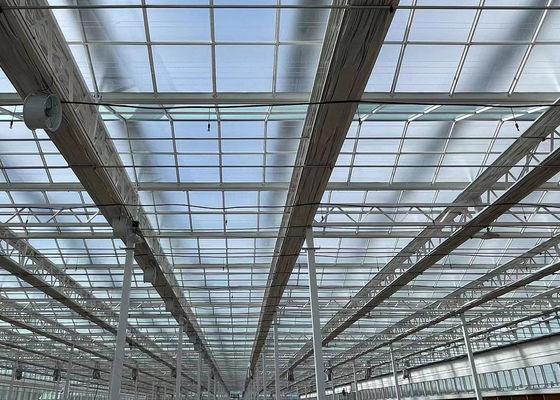 Instalación hidropónica de cultivo de semillas con sombra en interiores con capacidad y cultivo a gran escala