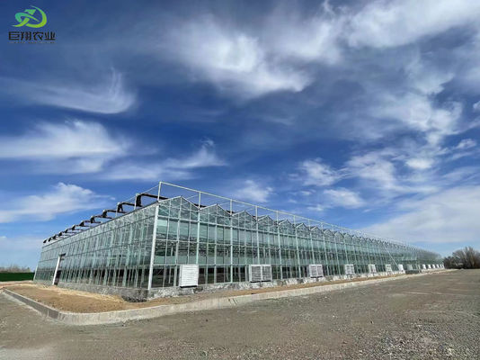 Instalación hidropónica de cultivo de semillas con sombra en interiores con capacidad y cultivo a gran escala