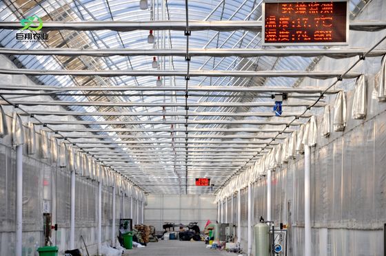 Instalación hidropónica de cultivo de semillas con sombra en interiores con capacidad y cultivo a gran escala