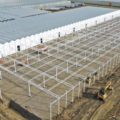 Invernadero de estructura de acero para la producción de pimienta utilizando el método de cultivo hidropónico