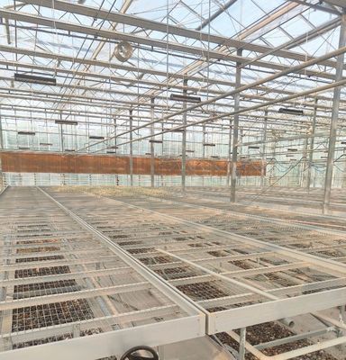 Invernadero de estructura de acero para la producción de pimienta utilizando el método de cultivo hidropónico