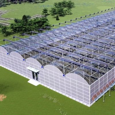 Invernadero de estructura de acero para la producción de pimienta utilizando el método de cultivo hidropónico