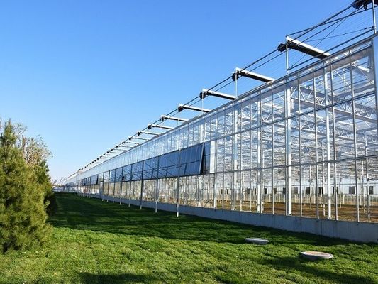 Juxiang prime s Sistema de invernaderos de entorno controlado dentro de los materiales de construcción