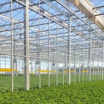 JX-H0068 Invernadero de tecnología antigoteo para la personalización de flores y tomates