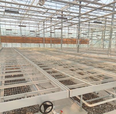- Hecho invernadero hidropónico con tecnología anti-goteo cultivo de verduras de pago completo