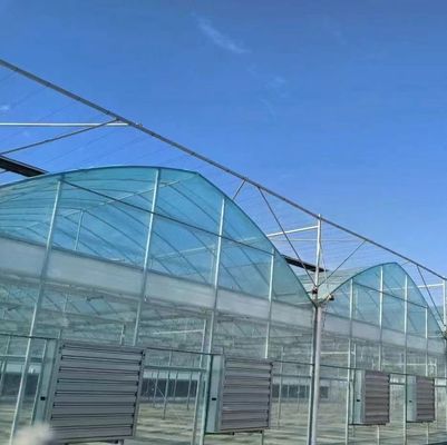 Estructura de doble arco - Invernadero hidropónico hecho para necesidades de producción agrícola mixta
