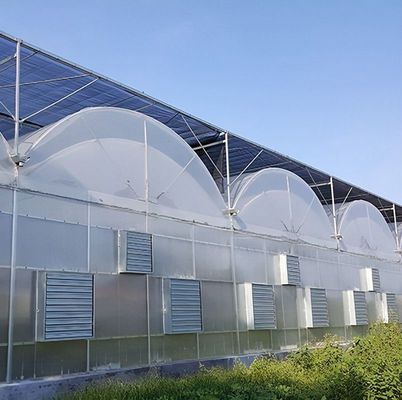 Estructura de doble arco - Invernadero hidropónico hecho para necesidades de producción agrícola mixta