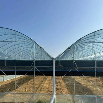 Estructura de doble arco - Invernadero hidropónico hecho para necesidades de producción agrícola mixta