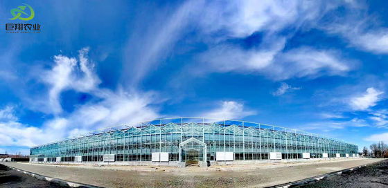 Paquete de instalaciones de plantación controladas por humedad de Juxiang Peso bruto 2000.000kg Solución