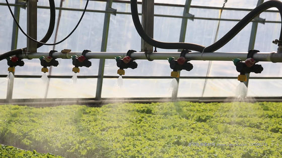 Estados Unidos/Canadá Estructura de acero Vegetales Plantación de invernadero de arco único para hidroponía