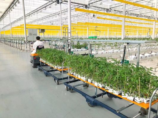 Estados Unidos/Canadá Estructura de acero Vegetales Plantación de invernadero de arco único para hidroponía