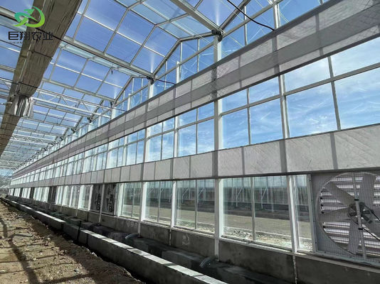 Paquete de instalaciones de plantación controladas por humedad de Juxiang Peso bruto 2000.000kg Solución