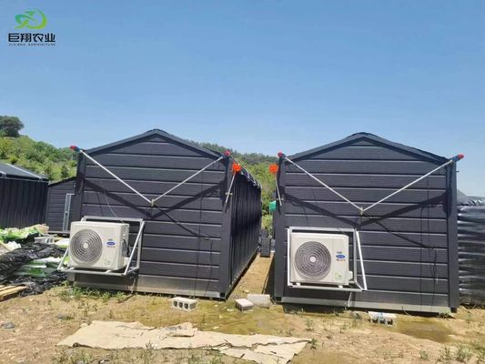 Hojas verdes Hortalizas de película de hoja de PC Invernaderos agrícolas de varias extensiones para hidroponía