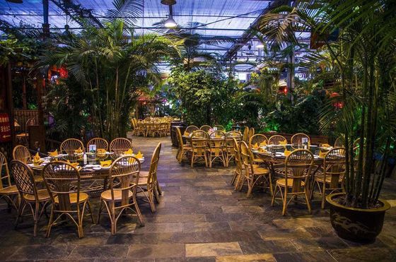 Petición personalizada Casa de plantación de refrigeración por rocío para plántulas estructura de acero personalización