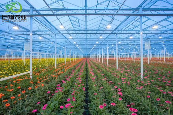 Petición personalizada Casa de plantación de refrigeración por rocío para plántulas estructura de acero personalización
