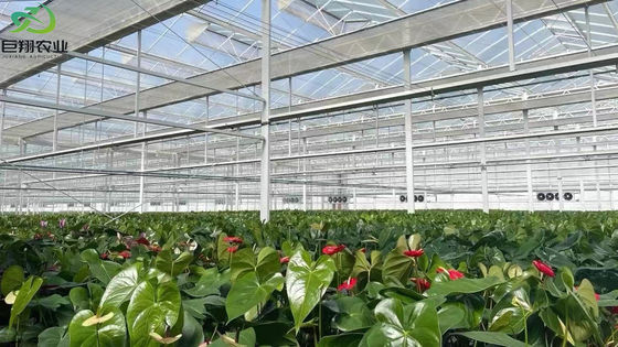 Petición personalizada Casa de plantación de refrigeración por rocío para plántulas estructura de acero personalización