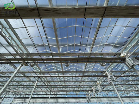 Estructura de crecimiento iluminada de doble capa para plántulas hidropónicas en múltiples períodos