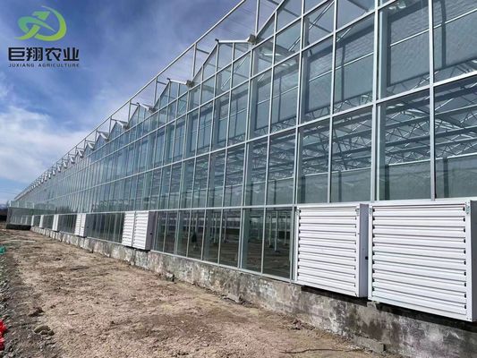 Método de cultivo en túnel Invernadero de múltiples tramos con tubo de acero galvanizado en caliente