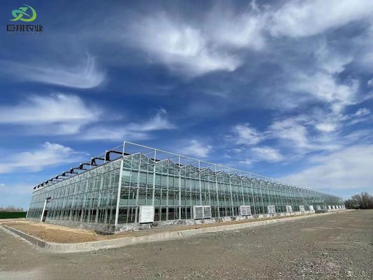 Método de cultivo en túnel Invernadero de múltiples tramos con tubo de acero galvanizado en caliente