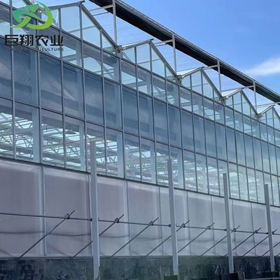 Invernadero de vidrio Venlo de 3 a 8 m de altura con sistema de cultivo hidropónico