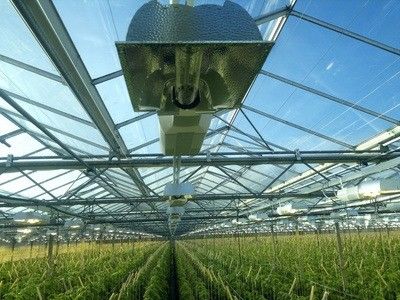 Retorno de 30 días Casa de cultivo iluminada para plántulas Método de cultivo iluminado