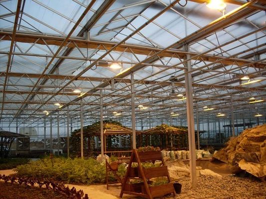 Sistema de cultivo de tomate, pepino y lechuga Peso bruto 2000.000 kg Solicitud de personalización
