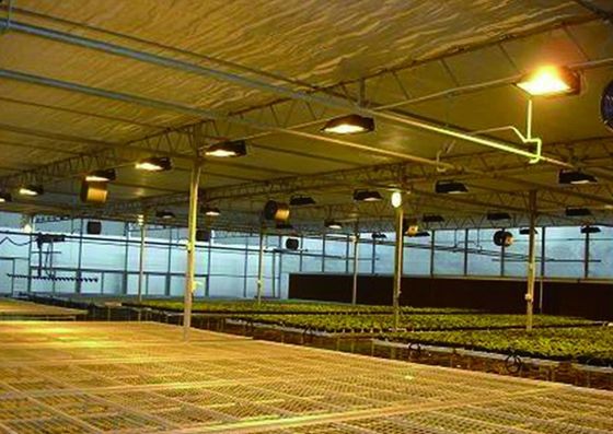 Sistema de cultivo de tomate, pepino y lechuga Peso bruto 2000.000 kg Solicitud de personalización